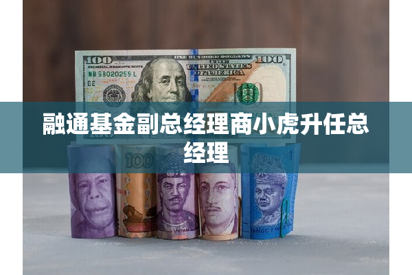 融通基金副总经理商小虎升任总经理