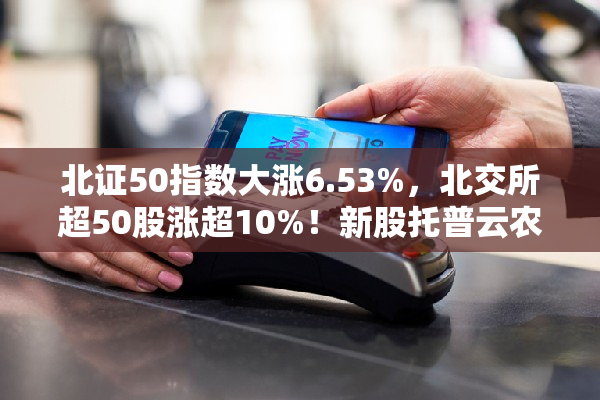 北证50指数大涨6.53%，北交所超50股涨超10%！新股托普云农盘中一度大涨超过1000%