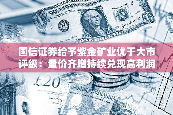 国信证券给予紫金矿业优于大市评级：量价齐增持续兑现高利润弹性，新项目建设有序推进